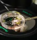 Cientistas criam embrião humano com DNA retirado de células da pele