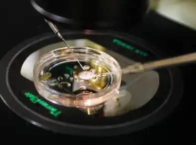 Cientistas criam embrião humano com DNA retirado de células da pele