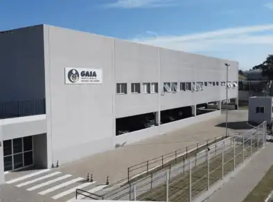 Gaia se pronuncia sobre possível corte em atendimentos de crianças com TEA