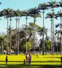 Projeto de concessão tem trazido incertezas sobre o destin do Parque…