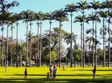 Projeto de concessão tem trazido incertezas sobre o destino do Parque da Cidade de São José dos Campos