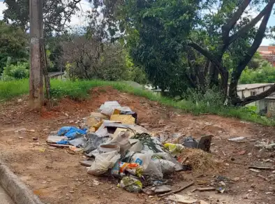 Autuações por descarte irregular em São José disparam 729% em 2025
