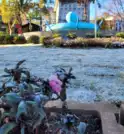 Campos do Jordão registra manhã de geada e tem o outubro…