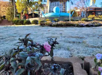 Campos do Jordão registra manhã de geada e tem o outubro mais frio dos últimos dez anos