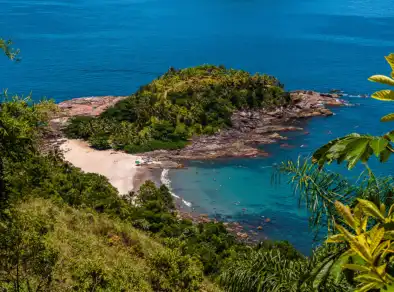 Taxa de preservação ambiental é aprovada em São Sebastião