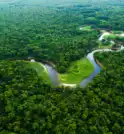 Países amazônicos anunciam monitoramento conjunto da floresta 