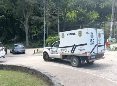 Homem entra em jaula, é atacado por leoa e morre