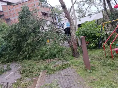 Chuvas e ventania causam estragos em Paraibuna e Prefeitura atua para reparar danos