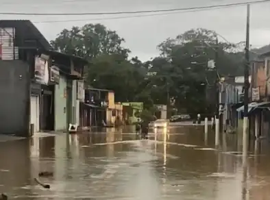 Chuva provoca alagamentos e quedas de árvores no Litoral Norte de SP 