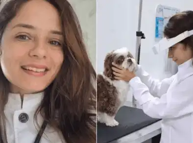 Cão volta a enxergar com lentes de contato humana