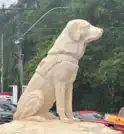 Primeiro cão Guarda-vidas do país ganha monumento