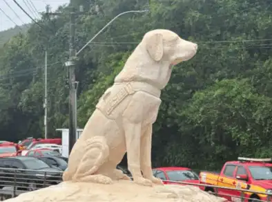 Primeiro cão Guarda-vidas do país ganha monumento