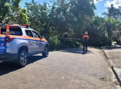 Moradores de Caraguatatuba afetados por vendaval podem sacar FGTS por calamidade 