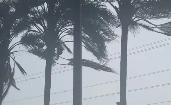 Ventos fortes são registradas em São José dos Campos nesta terça-feira (18)