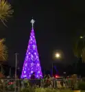 Natal Iluminado de SP é inaugurado e conta com mais de 300…