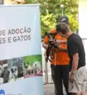 CCZ São José dos Campos tem última feira de adoção de…