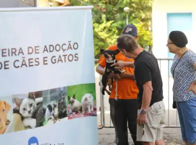CCZ São José dos Campos tem última feira de adoção de pets do ano neste sábado (6) 