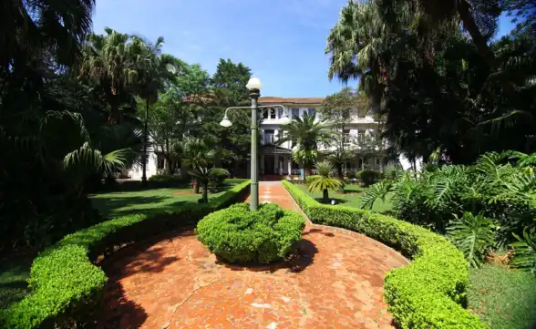 Contrato de gestão do Vicentina Aranha em São José é julgado como irregular pelo TCE