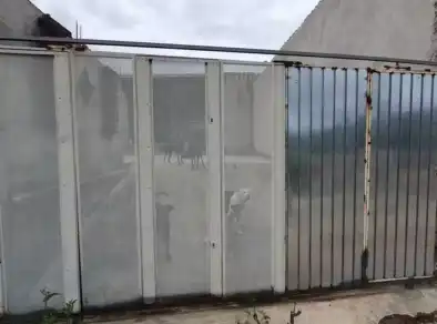 Homem morre após ser atacado por cães em chácara de São José dos Campos 